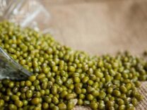 Mung beans