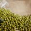 Mung beans