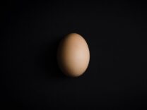 Egg