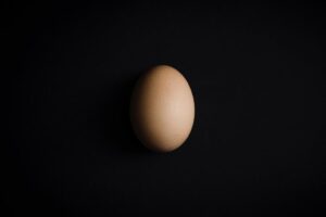Egg