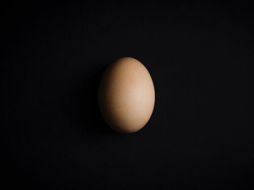 Egg