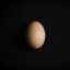 Egg